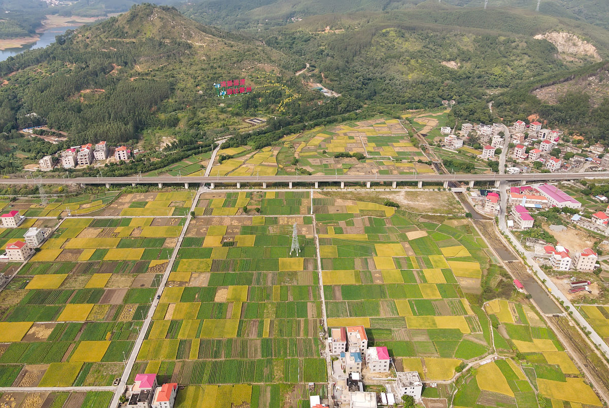 我爱秋季：初中生作文600字，感受秋天的美好与魅力