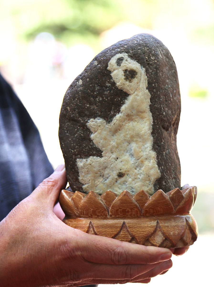 秦皇岛奇石艺术学校具体地址在哪