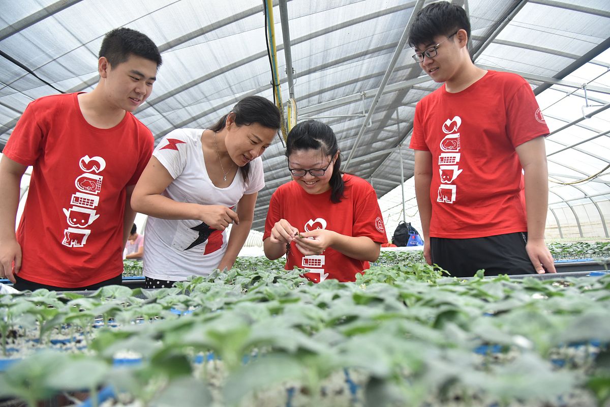 学习的时候有提高应用的时候怎样