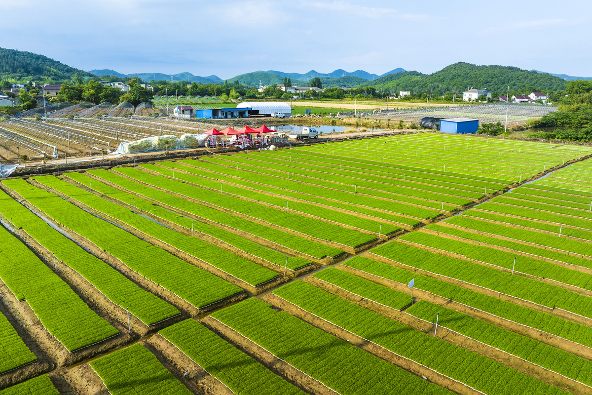 巫溪县职业教育中心现代农艺技术专业：好学吗？就业前景如何？