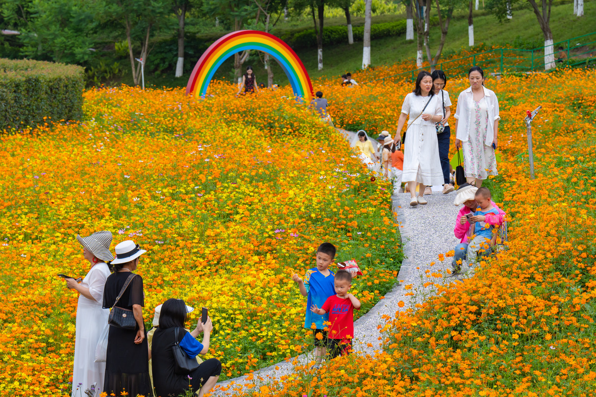 春游莲花山公园：感受春日美好