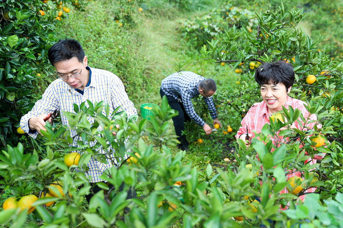 商品代销合同模板 - 规范代销流程，提升合作效率