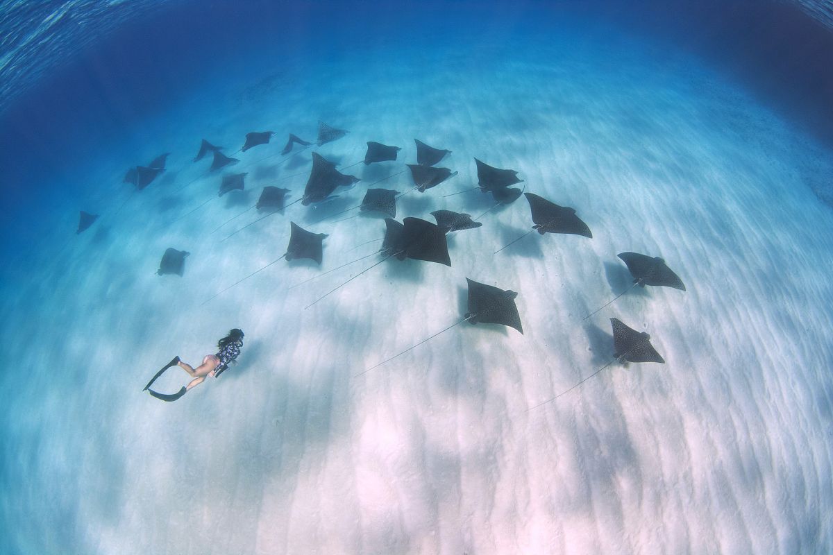 LINE群聊模拟：如何扮演好你的角色