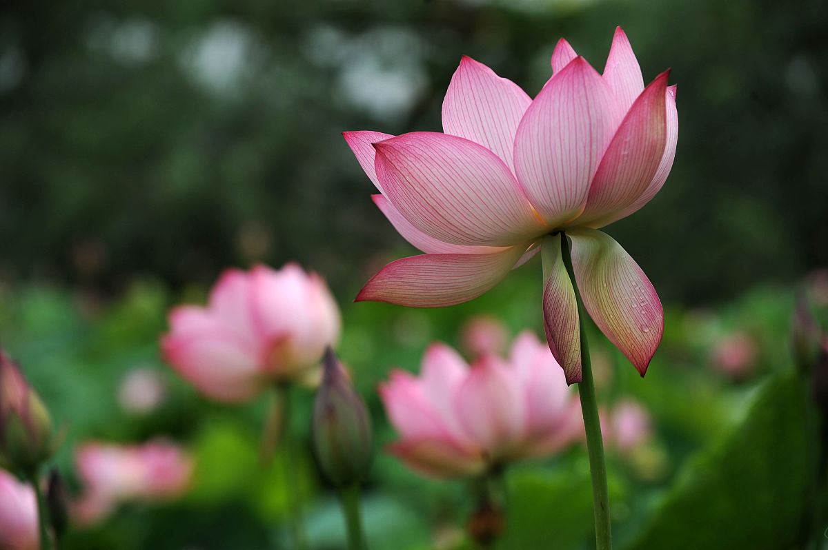 贵阳女生上中专学校学什么专业好