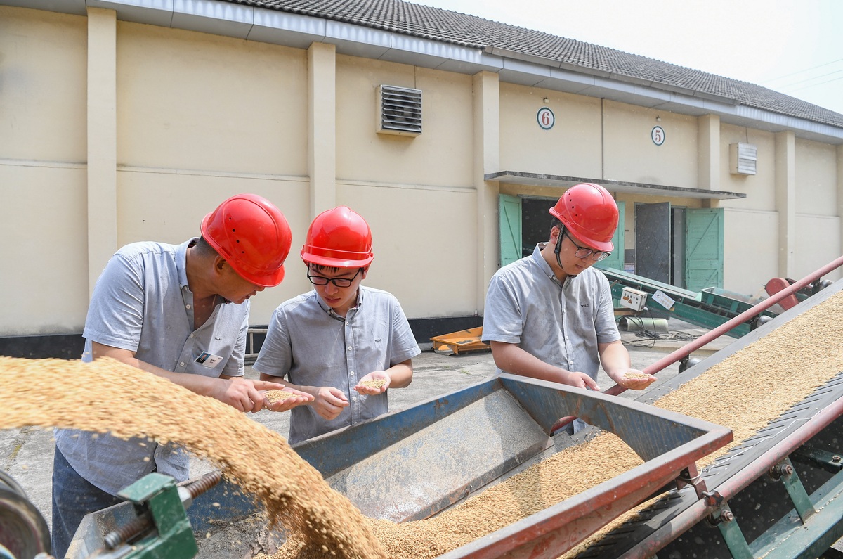 河南工业贸易职业学院粮食工程专业怎么样？优势分析与就业前景
