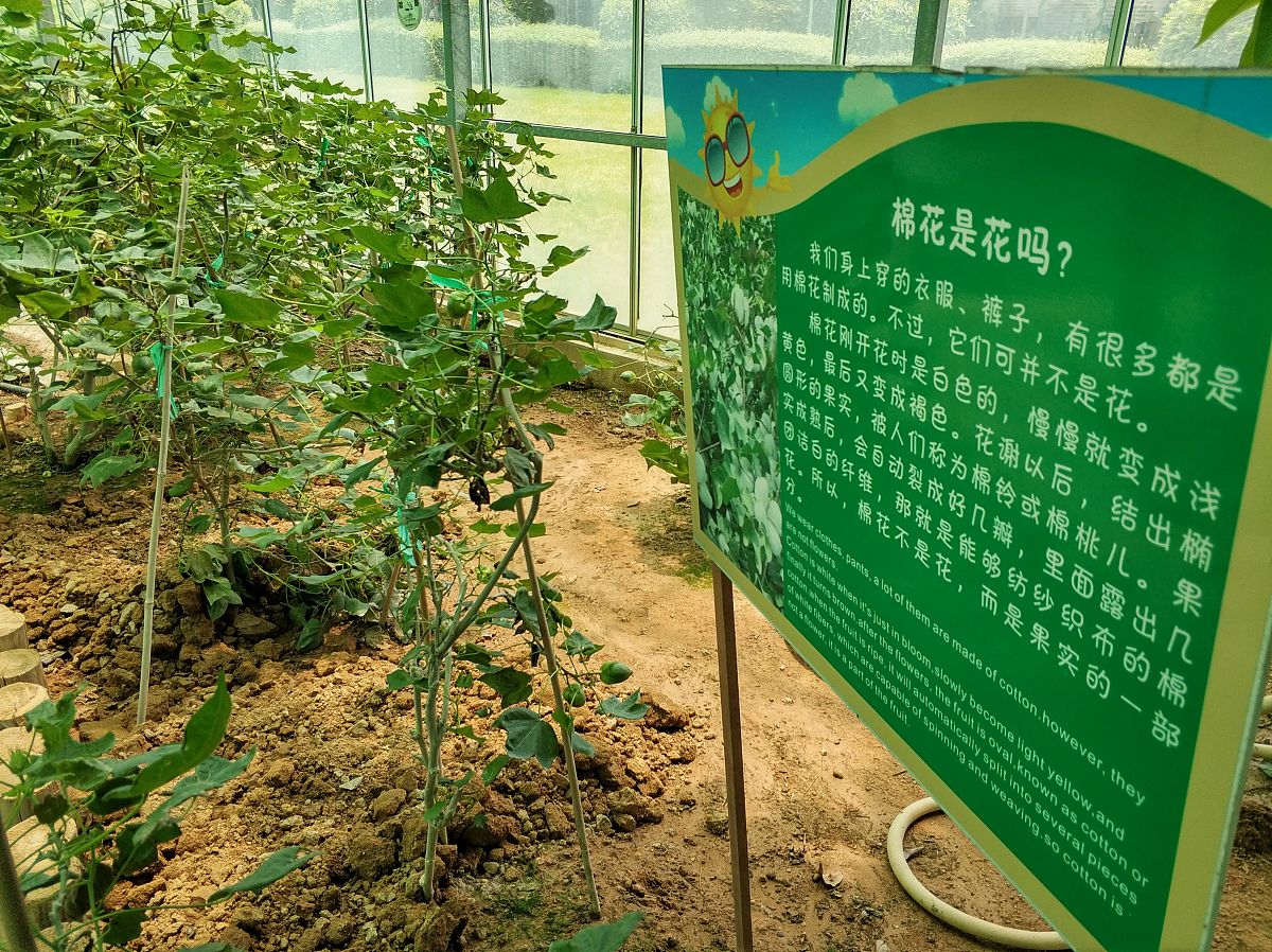 苗木类家庭农场的规则制度