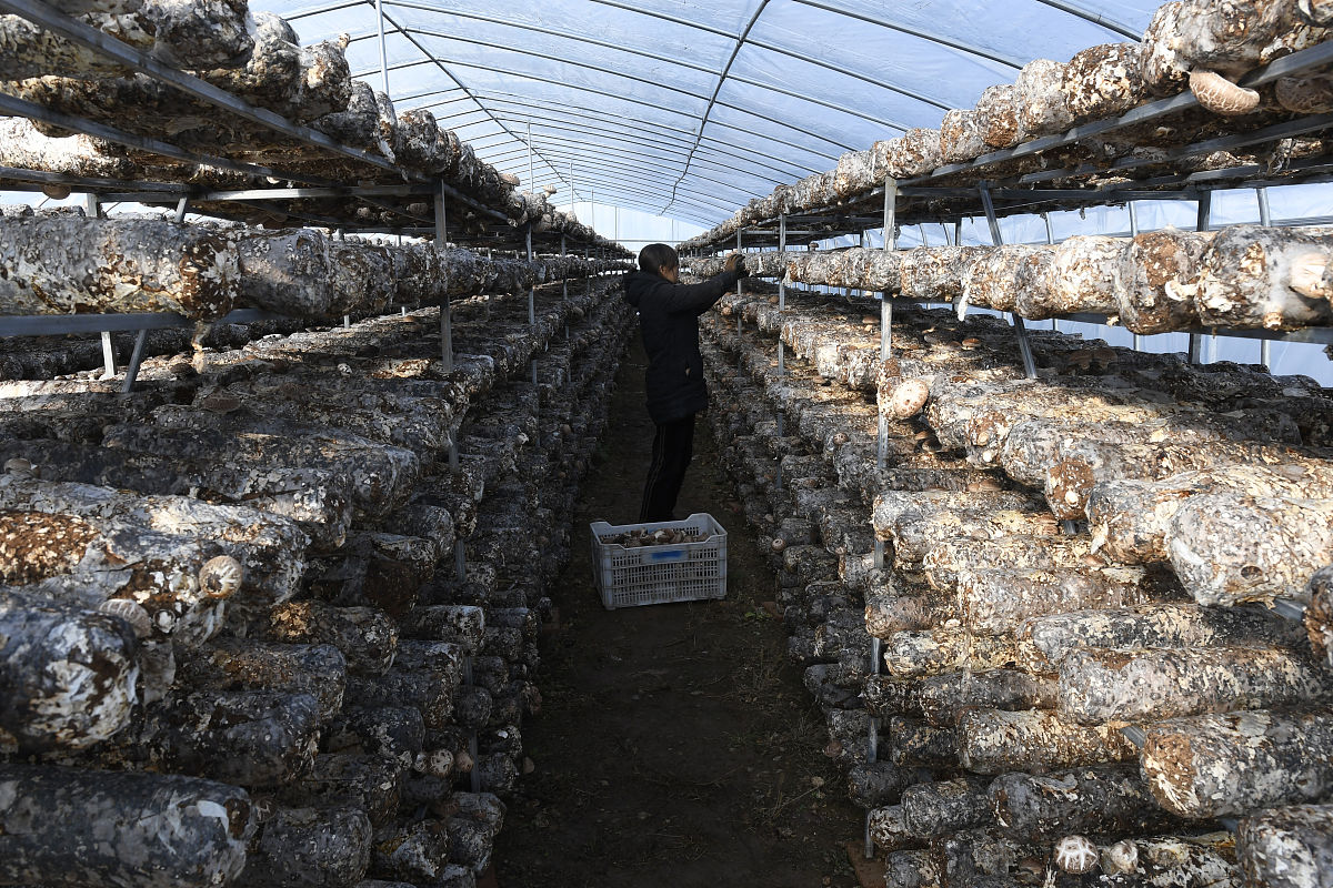 临夏现代职业学院汽车检测与维修专业怎么样