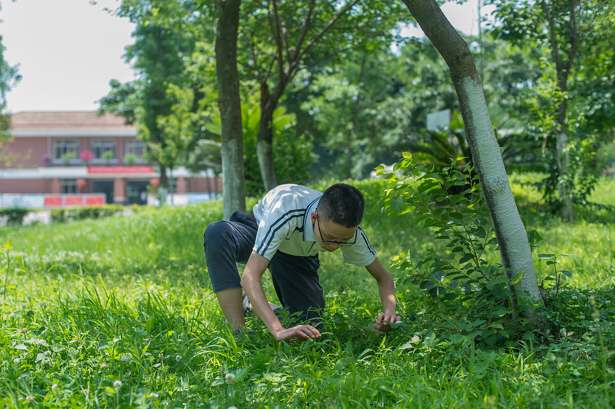 你是一位资深的大诗人请以儿童的视角创作一首散文诗要求每一句字数相等、对仗。包括露营、湖泊、草地、花卉、昆虫等元素