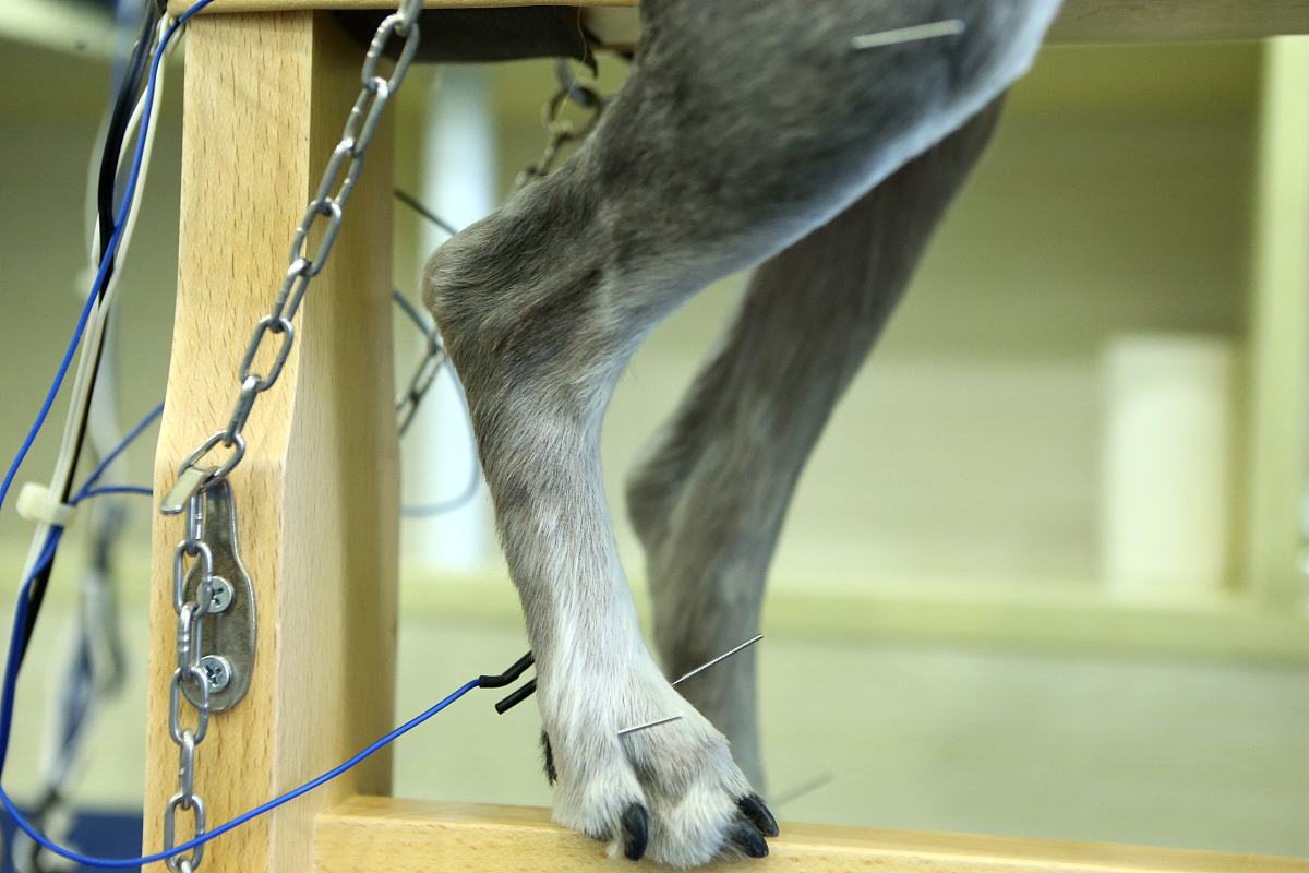 2021年贵州中医药职业学校招生简章 - 报名时间、专业及发展前景