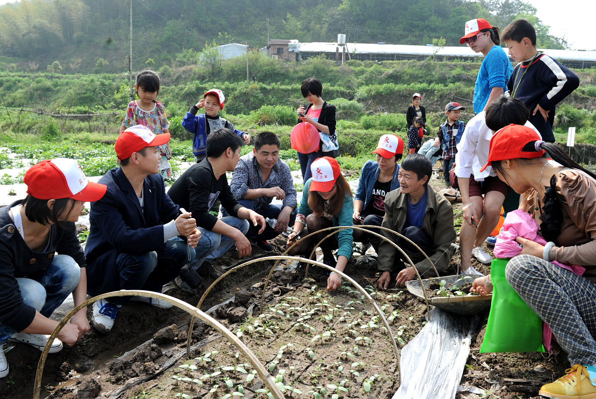 大学生乡村夏令营心得体会：感受田园风光，助力乡村振兴