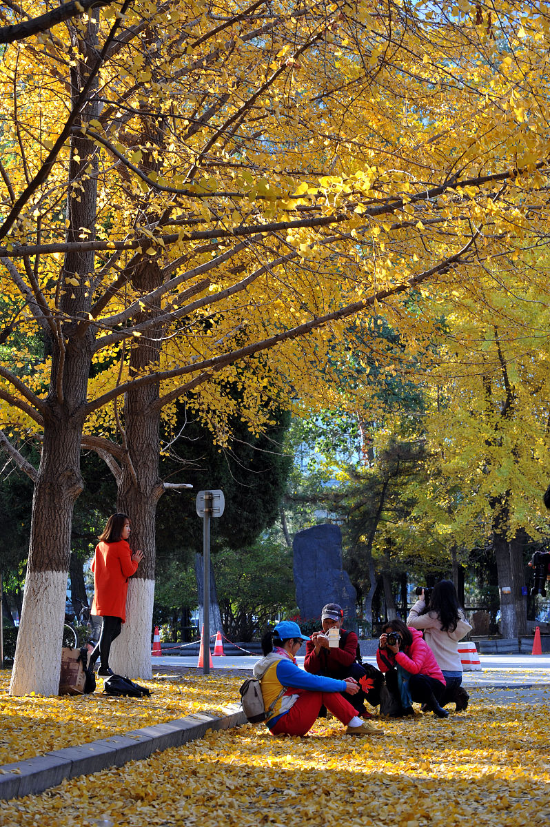 辽宁工程技术大学行政管理专业怎么样？ - 综合评价及就业前景