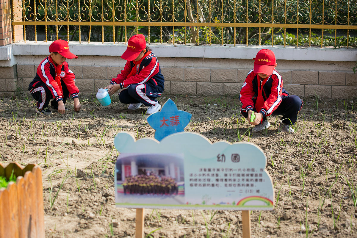 美化校园，珍爱花草：培养学生美感与环保意识