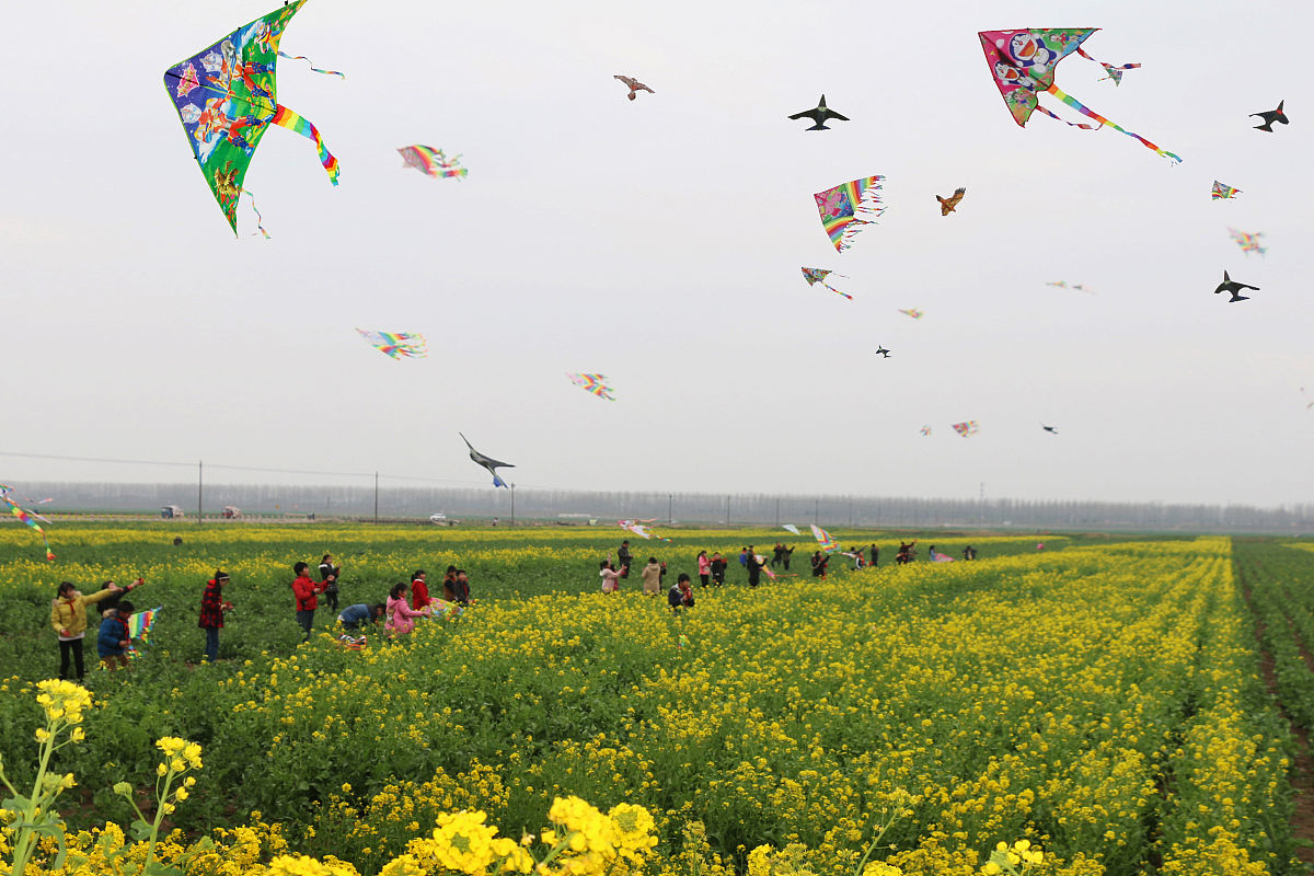 春天万物复苏的季节到了怎么回复