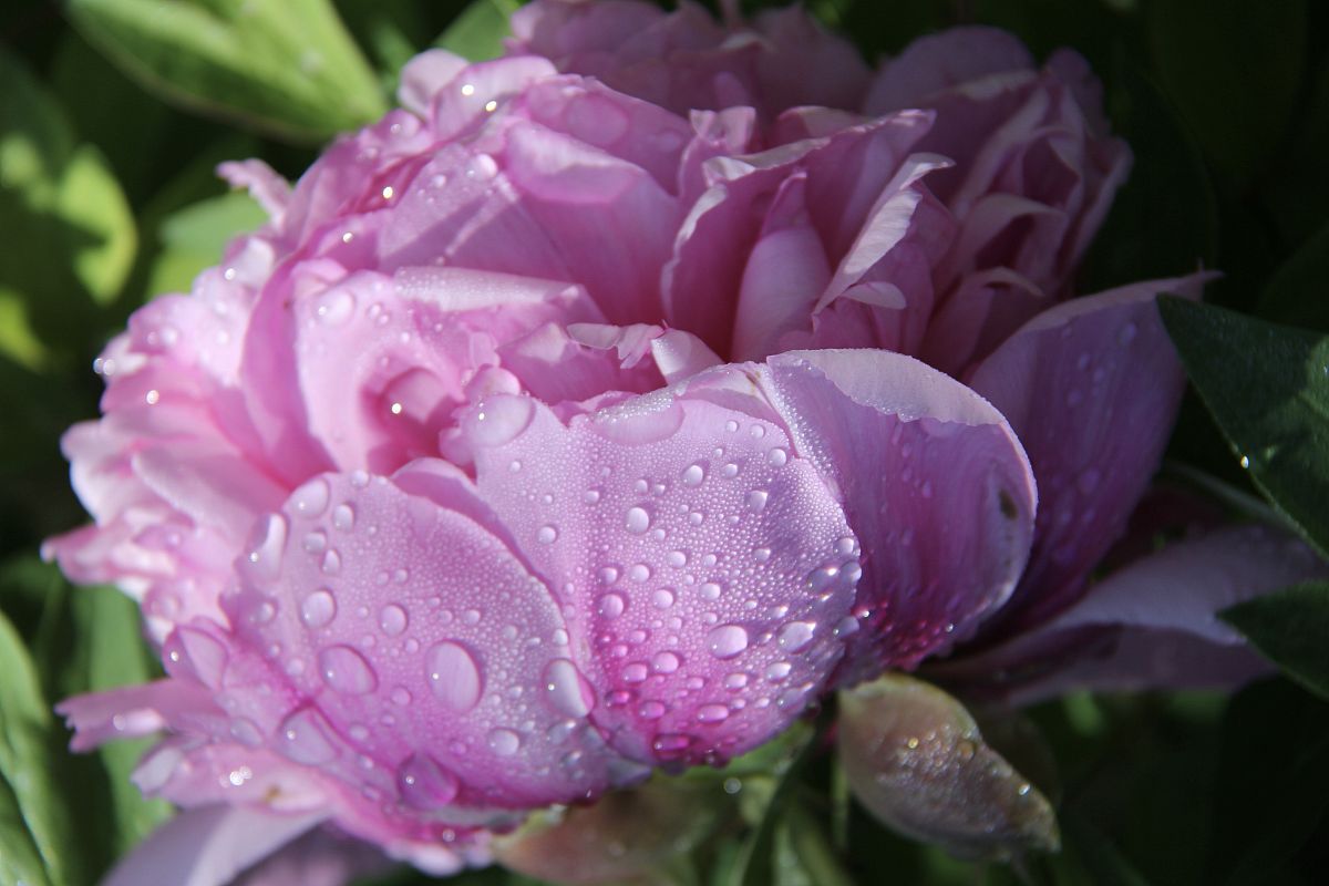 定西理工中专学校的院校办学层次