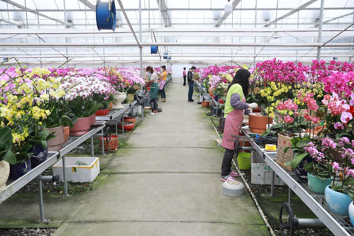 兰州园艺学校2023年怎么样、好不好