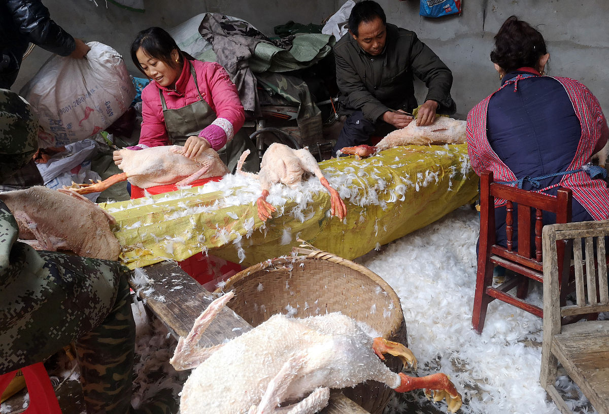 六安市裕安职业学校2023年热门招生专业及就业前景