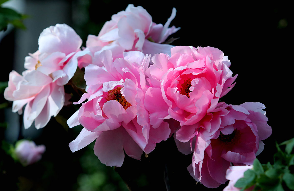 昆明卫校报名指南：2022年招生信息、条件和就业前景
