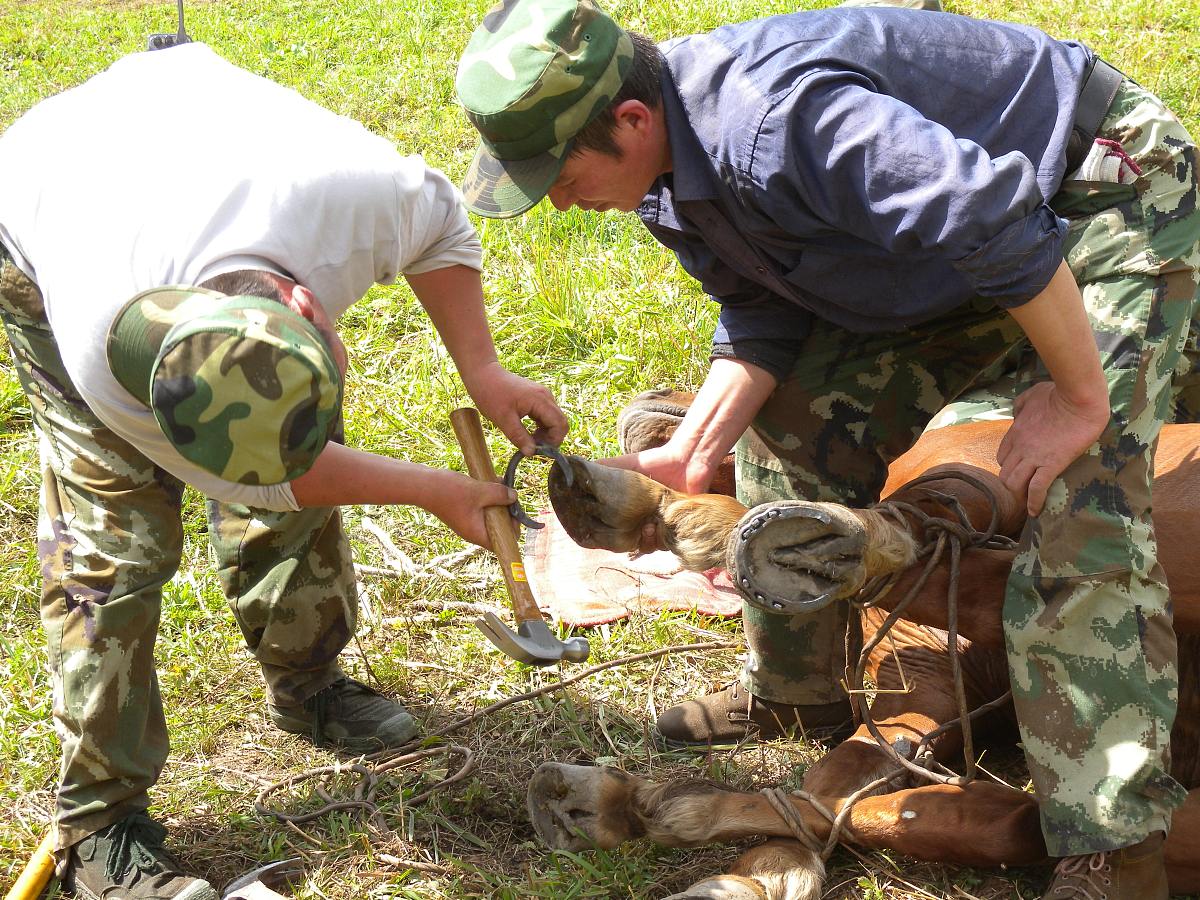 喀纳斯景区一心两翼功能分区详解：东西两翼景观与特色