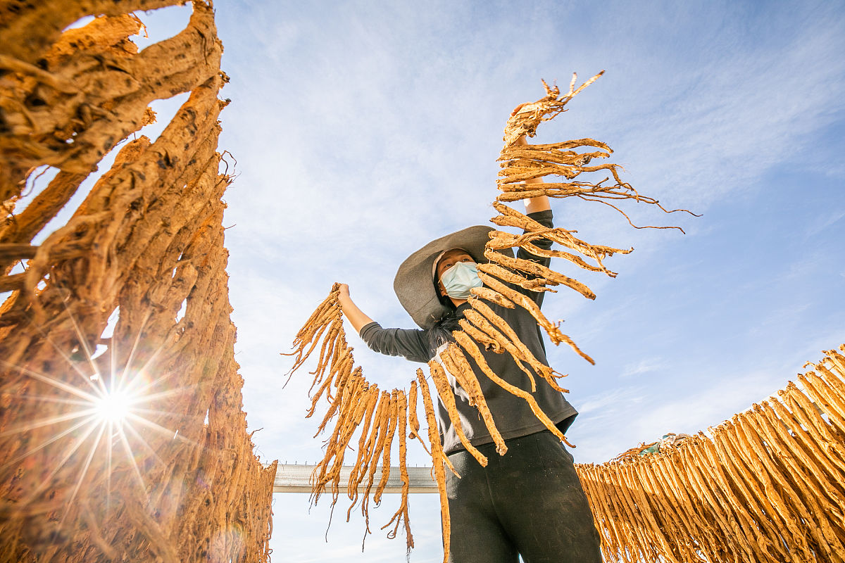 毕节中专学校哪个好就业？推荐榜单及就业技巧
