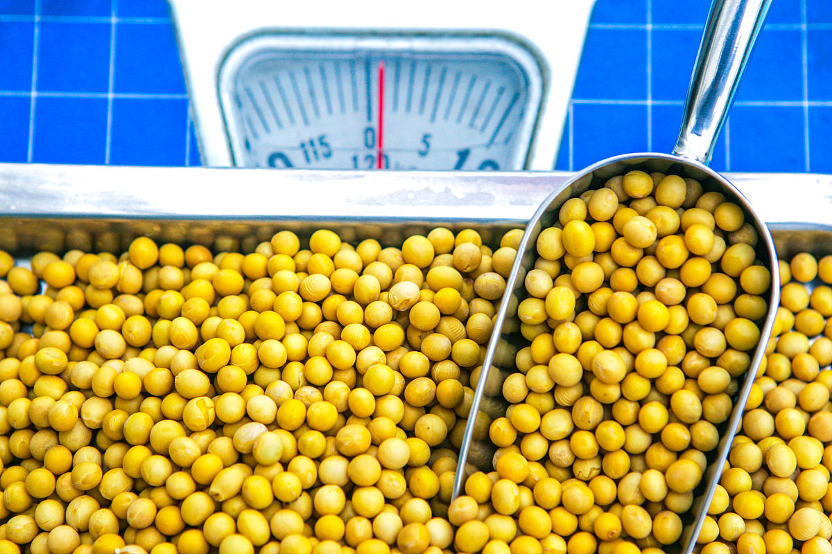 泡过的黄豆放冰箱第二天能用吗