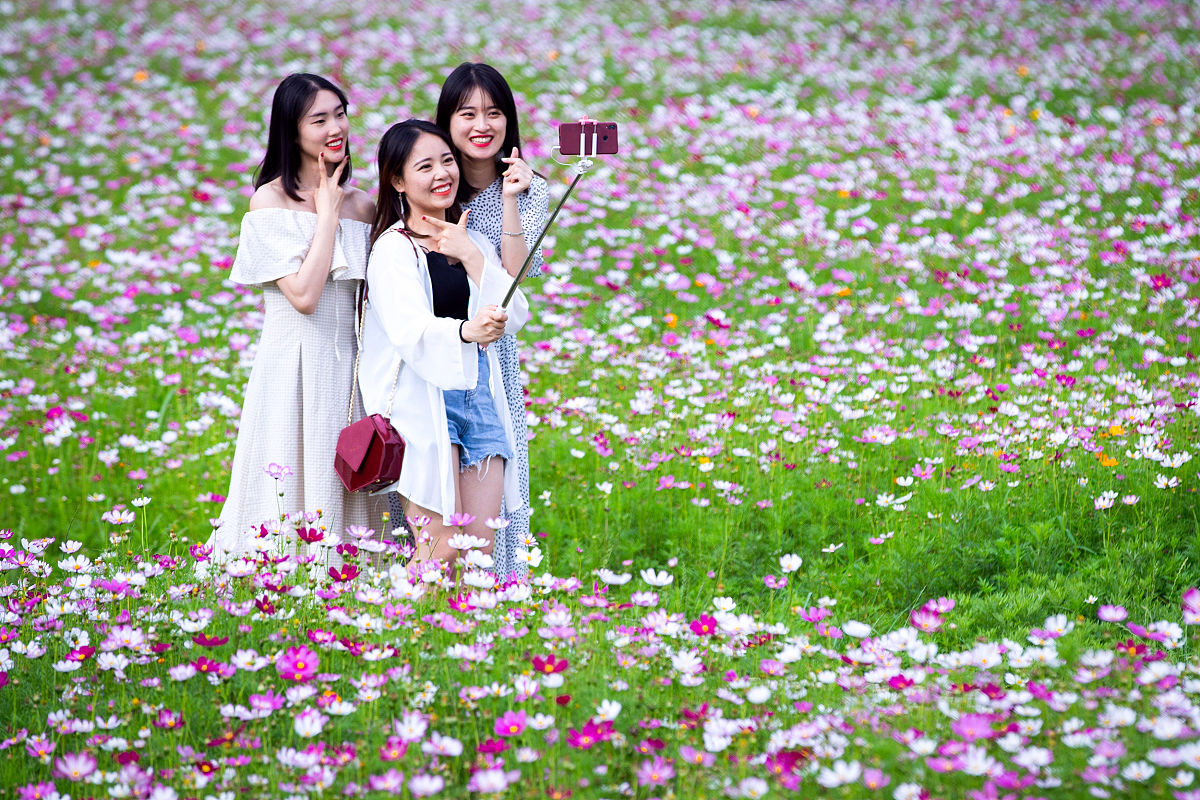 开封市中医药学校2023年招生简章