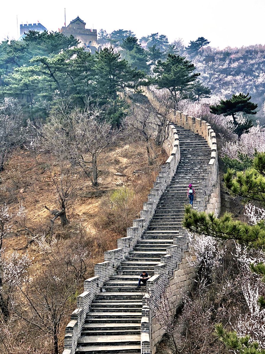 2018年3月31日,登上黄花城水长城,举目远望,漫山遍野的山桃花,将长城