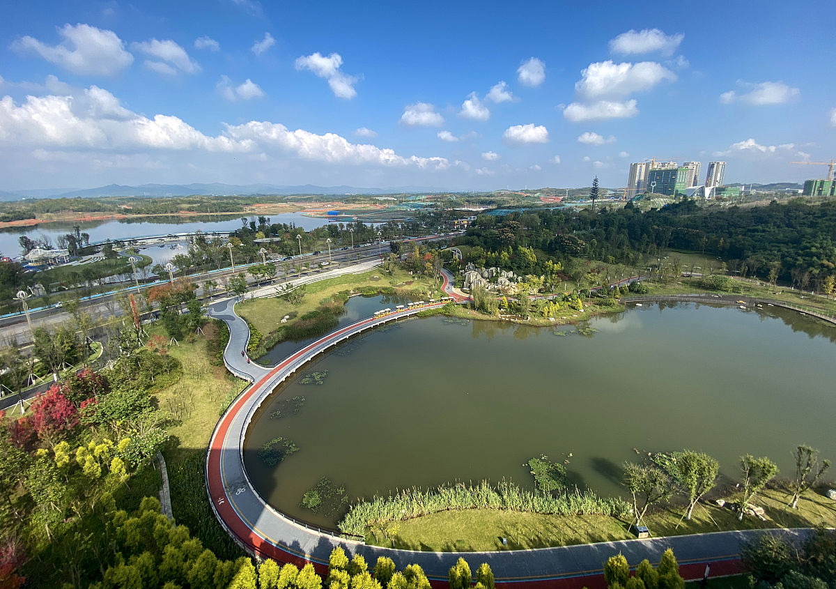 成都2021年读电子商务学校学什么有前途