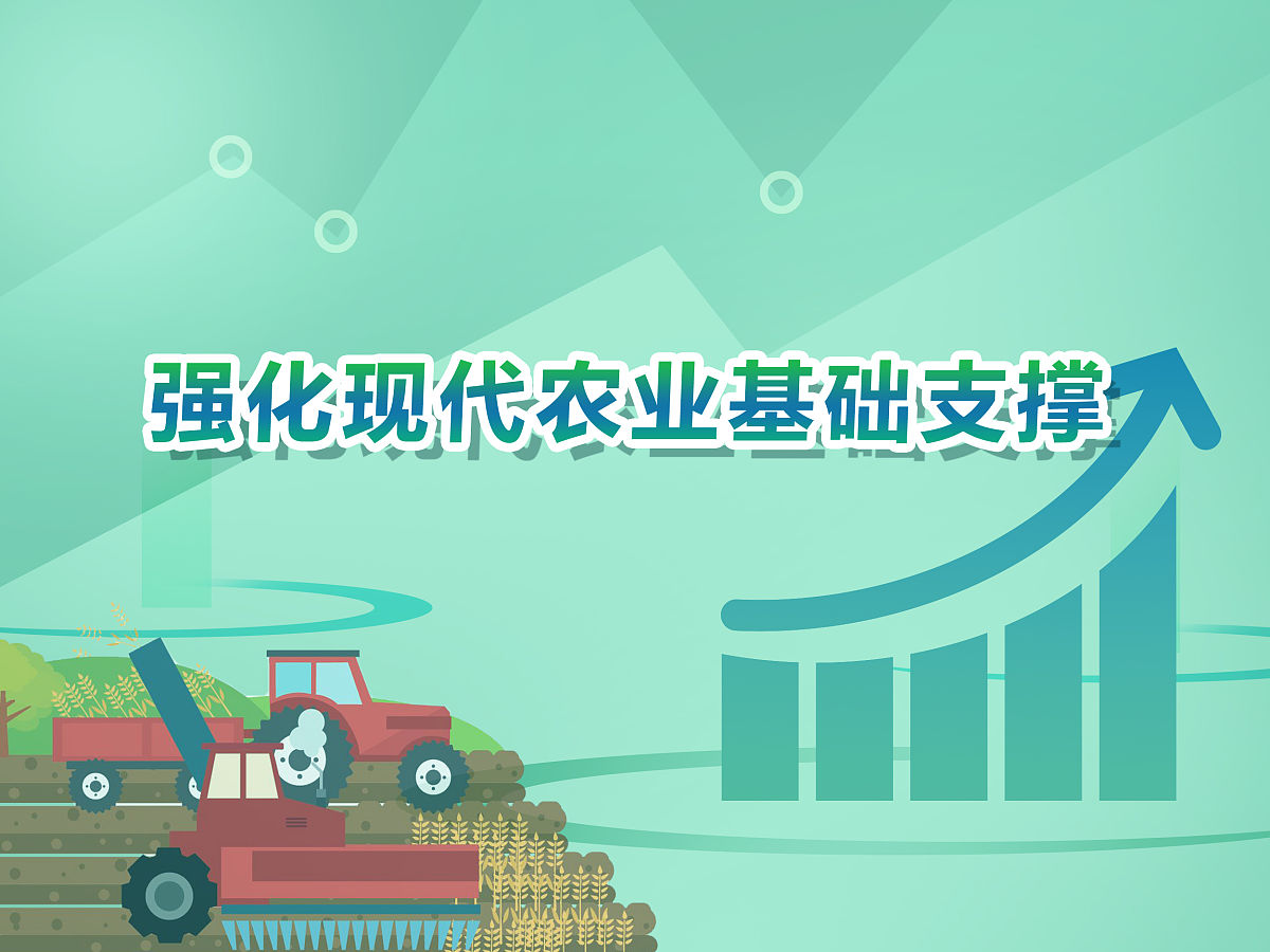 农业信息系统的团队人员的保障实施怎么写