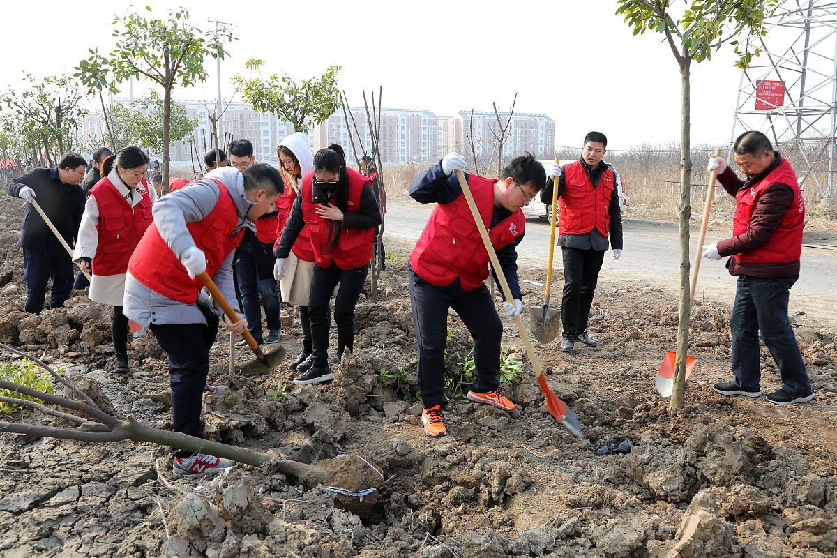 大学生暑假种树社会实践报告 - 提升环保意识，改善生态环境