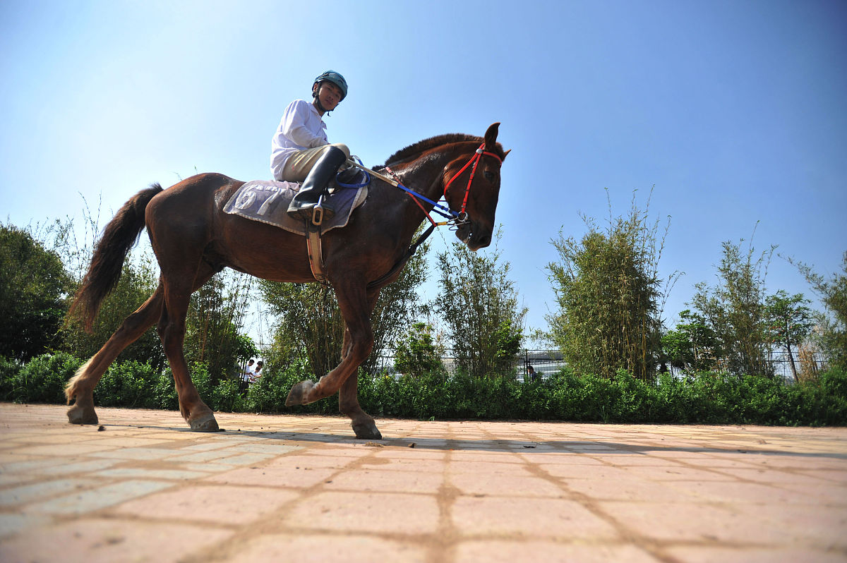 成都航空职业技术学院2019+通信技术专业招生