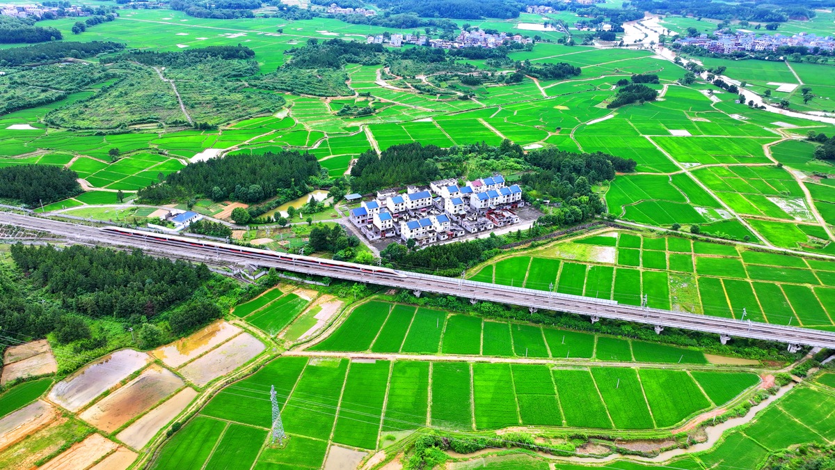 乡村振兴背景下农村生态环境治理结论与展望500字