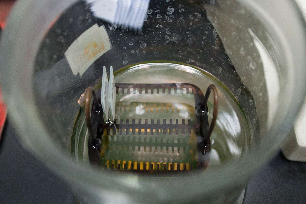 区分肝细胞癌与正常细胞有什么意义