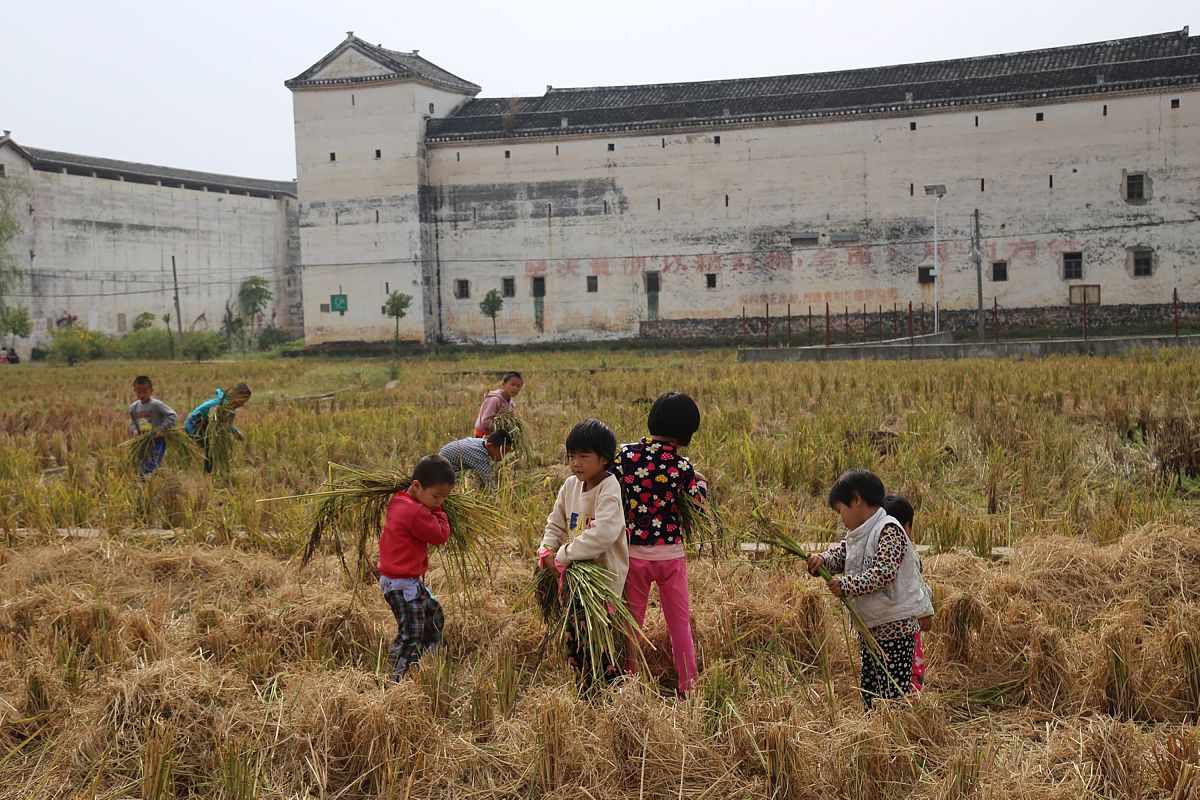向田野学习，在乡村振兴中自讨苦吃：如何重塑乡村活力