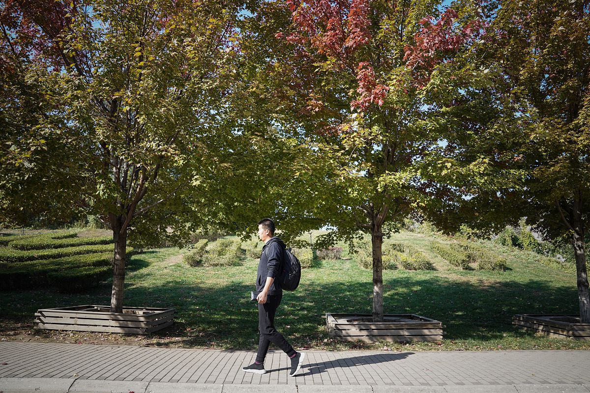 感谢国家的支持让我读到了大学感谢学校的栽培。对这句话进行扩写 感谢国家的支持让我读到了大学感谢学校的栽培。对这句话进行扩写