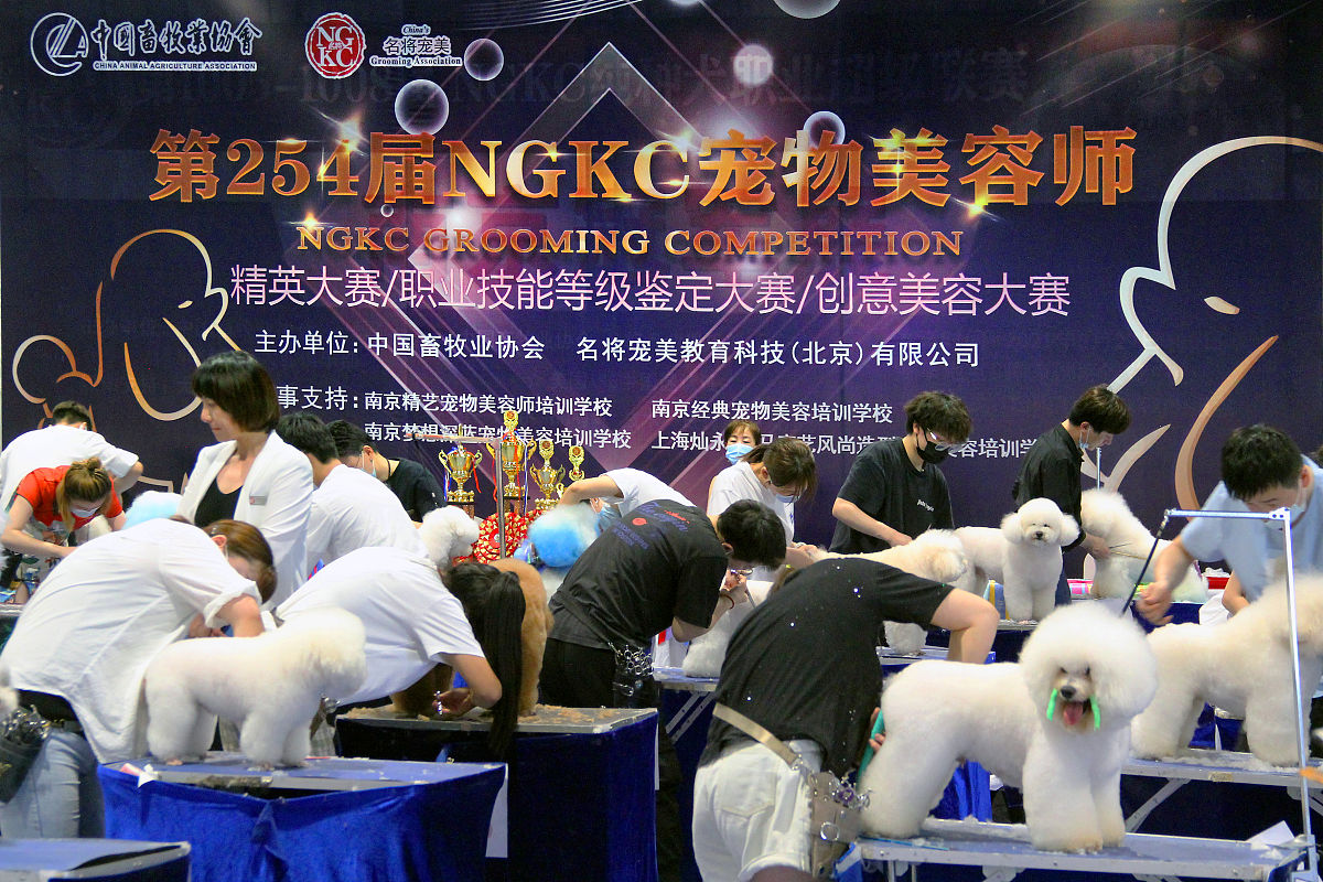 我们美容院举办了一场针对所有美容师的技能手法大赛为了提升员工专业技能和手法让员工一直不断进步能够更好的发现顾客的需求提升顾客满意度围绕以上核心写一篇文章
