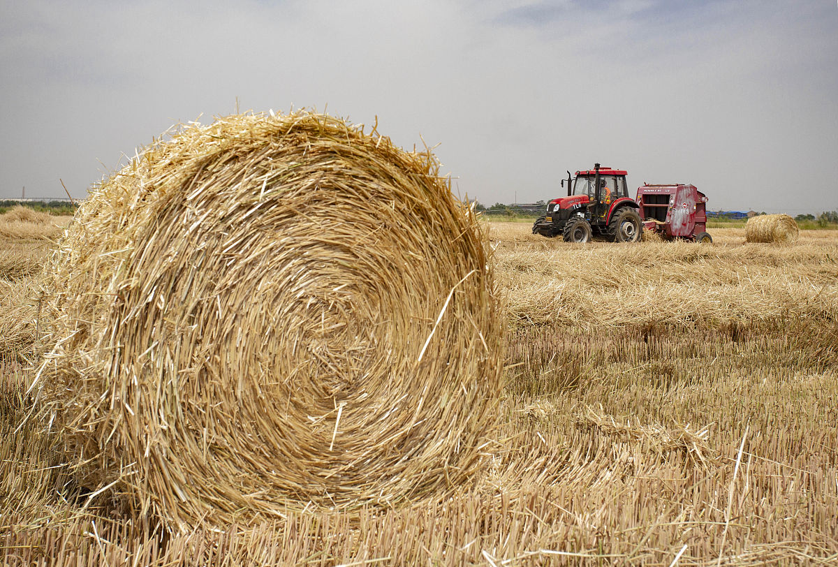 麒麟区农业学校2019年中考五年制大专招生专业介绍