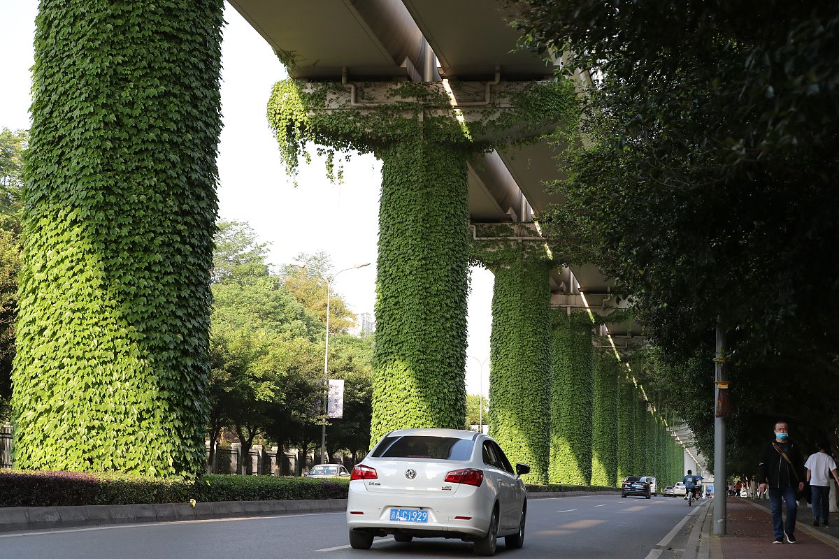 重庆轻轨学校五年制大专招生条件 - 轨道交通人才培养摇篮