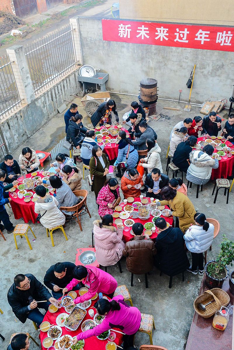 山东兽医职院新生入学指南：准备工作、学校概况及未来展望