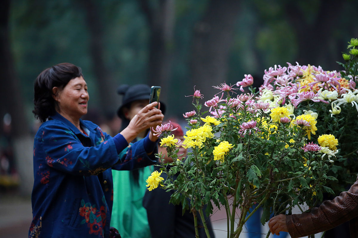 重阳节活动预告：传承敬老，共度美好佳节