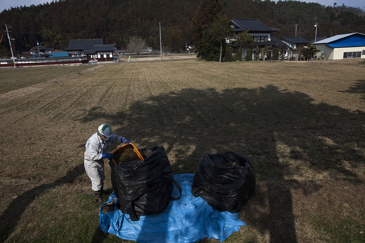 就日本排放核污染水入海导致中国民众疯狂屯盐事件给出建议