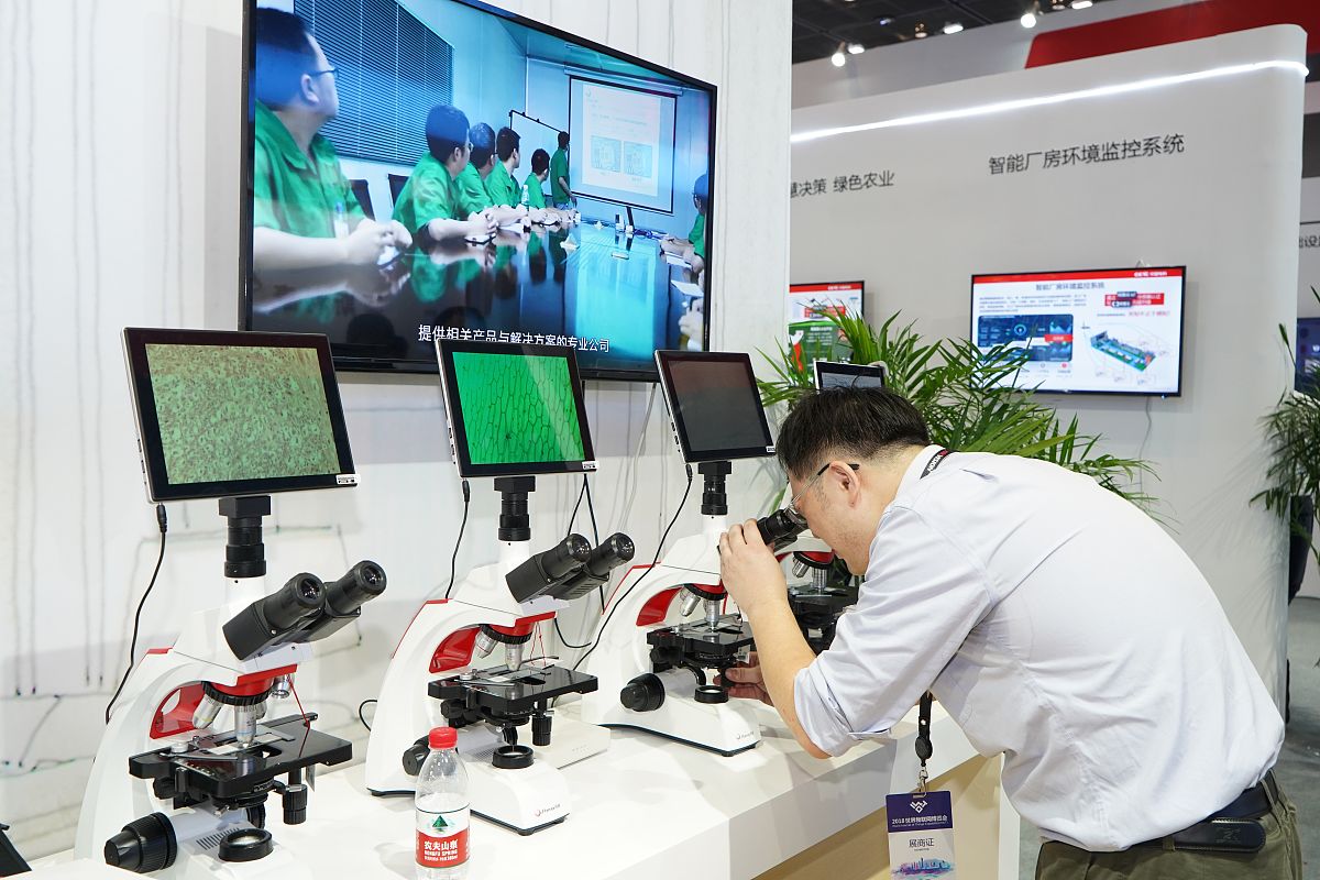 大学生创新创业大赛项目报告：智能交通解决方案