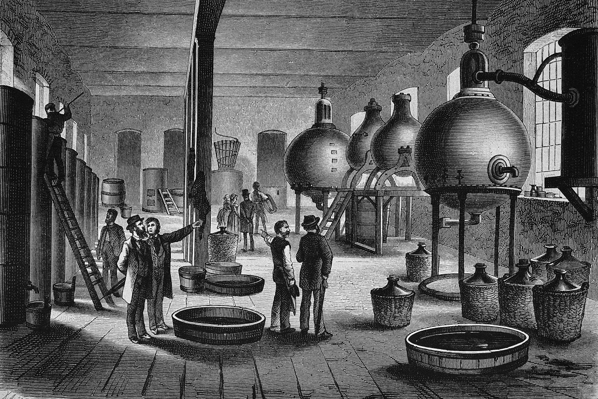 LUDD 是什么单词？含义解析