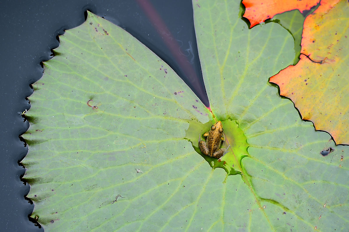 北京化工学校2022年有哪些专业