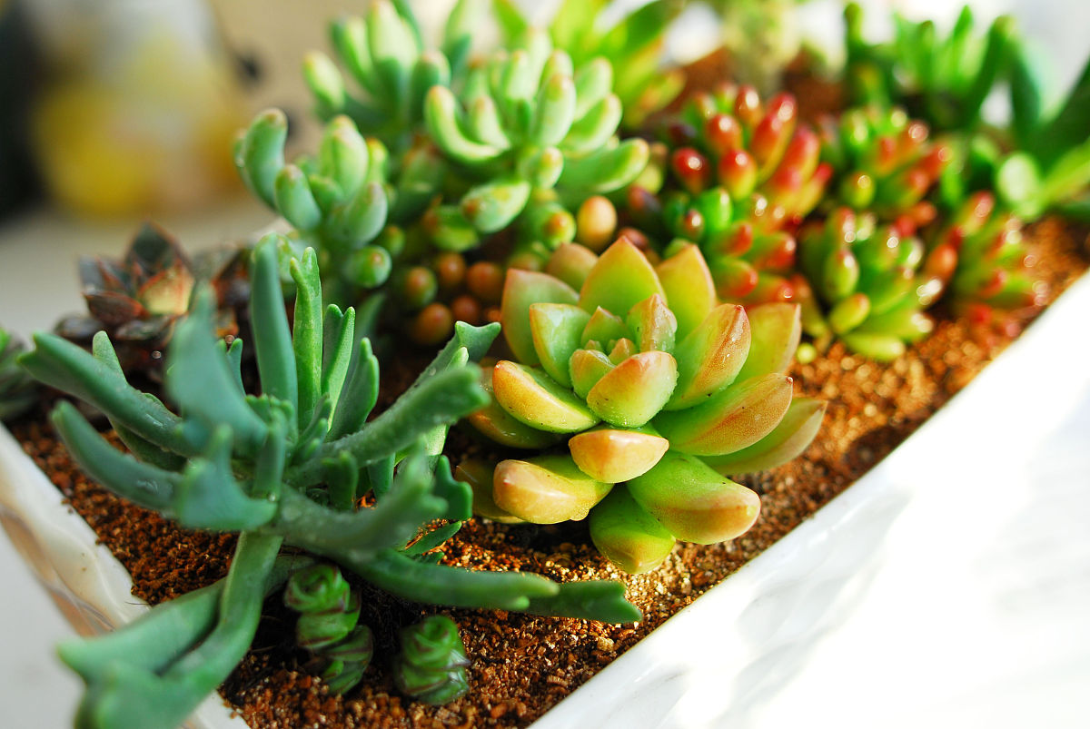 装修合同简易版模板下载 - 免费使用