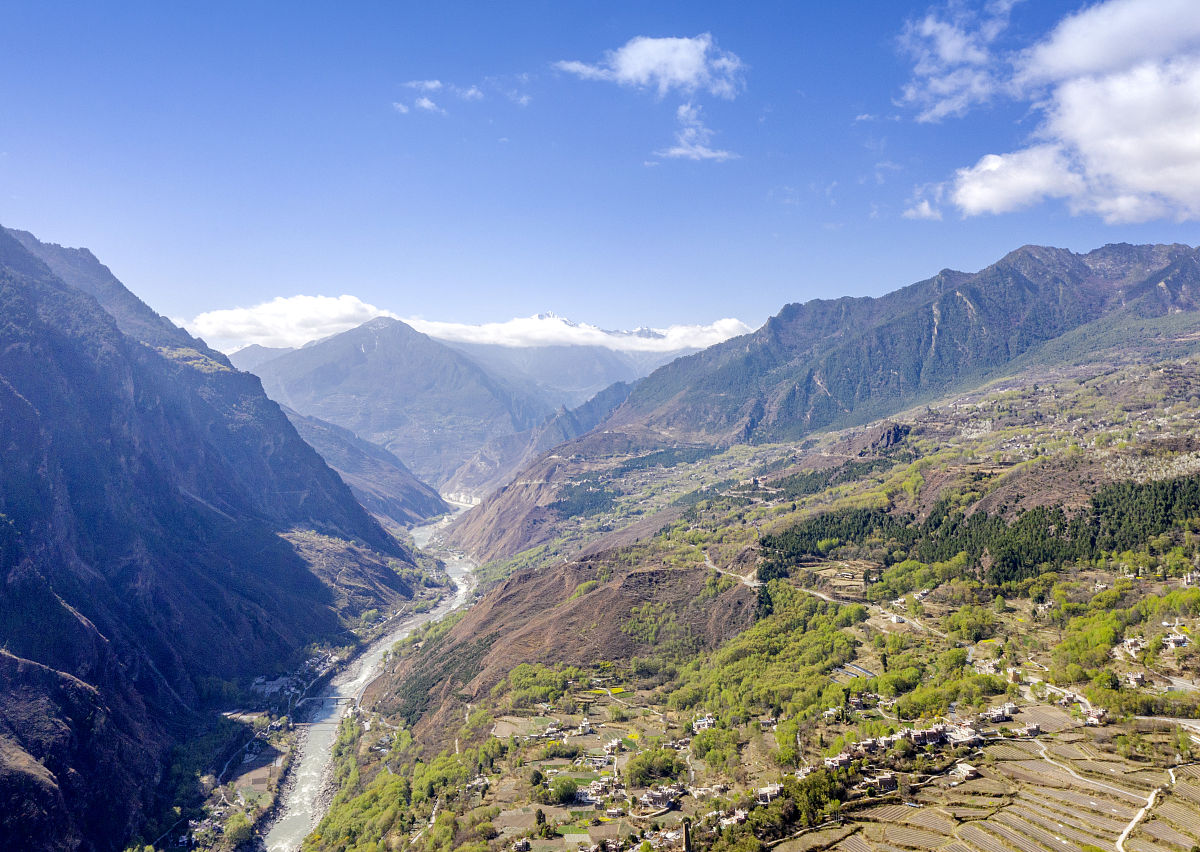 中国各地的大熊猫