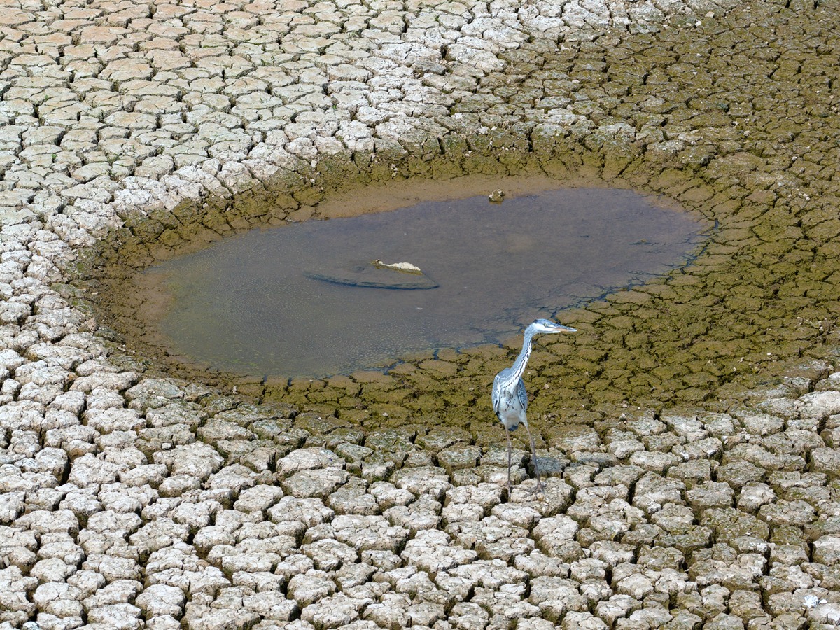 重金属污染的危害：土壤、水体、空气、生态系统和人体健康