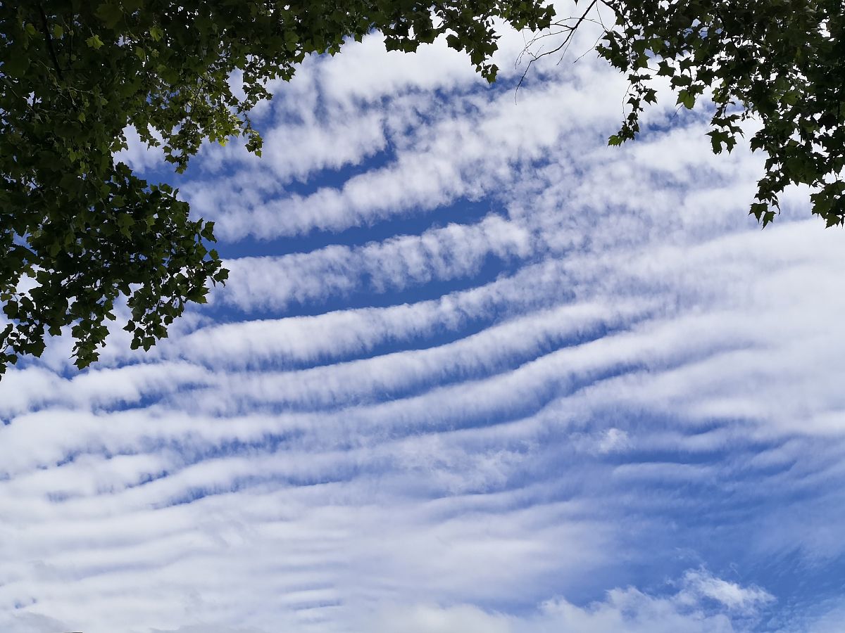 2020年6月29日,江苏省南京市,雨过天晴,天空出现条形纹状的白云,煞是