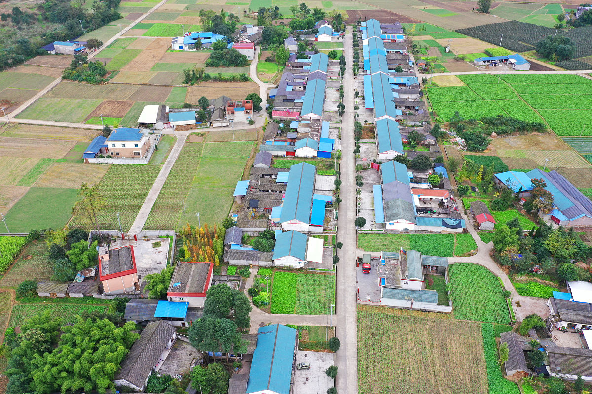 绵阳市青义镇前进村改造要注意的改造点