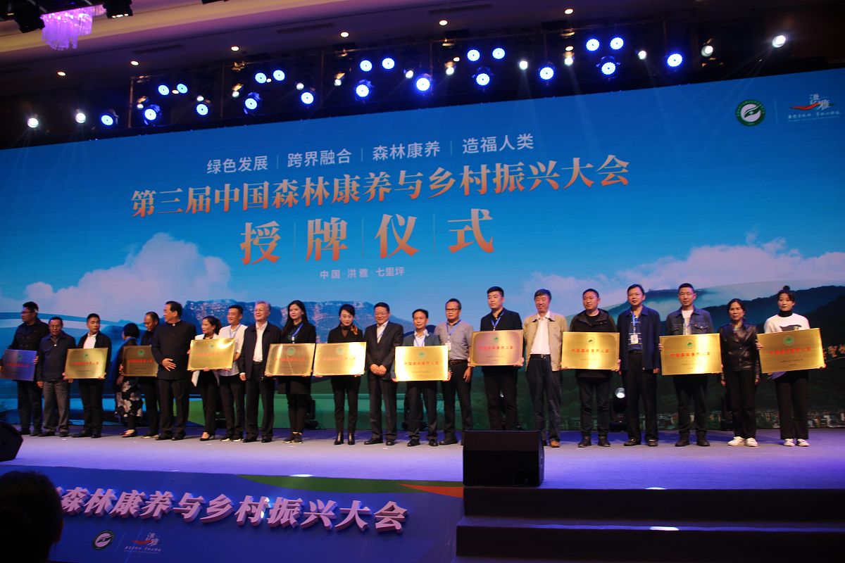 义乌放大招！10亿元出海基金助力企业扬帆远航，你准备好了吗？