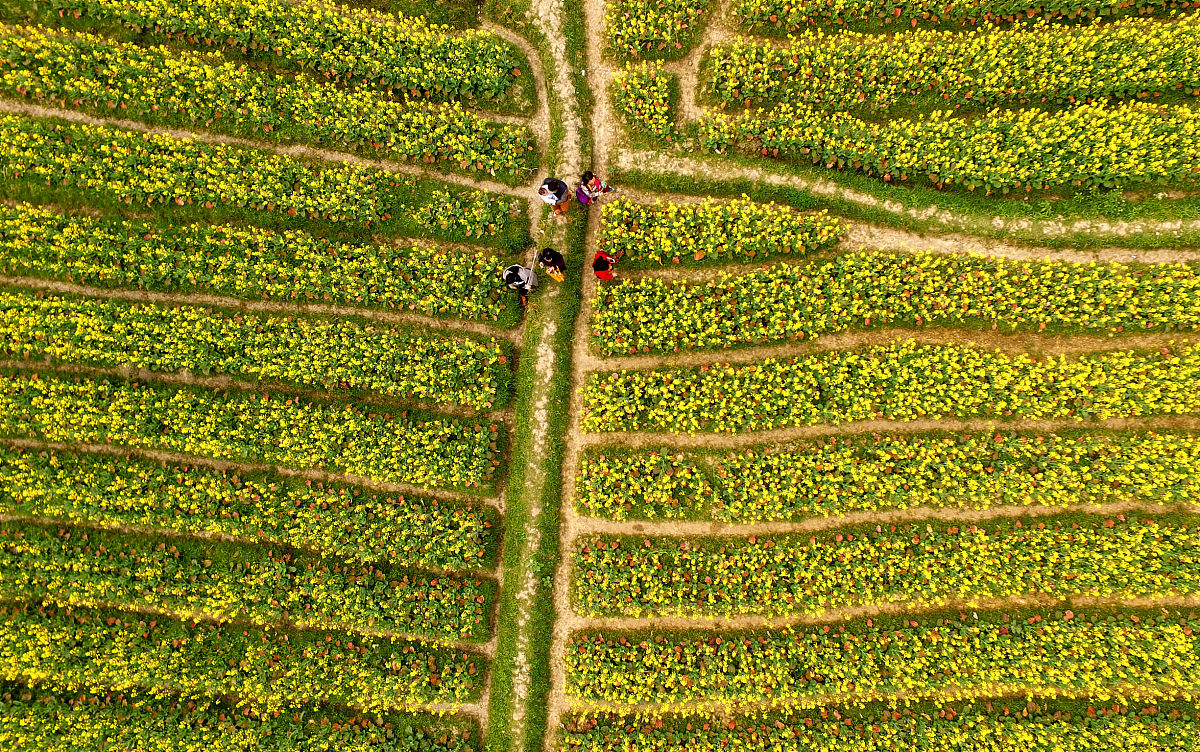 柳州市曝光平台：最管用的求助热线及有效曝光方法